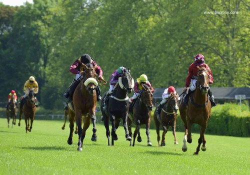 Focusing on the Long Term: Strategies for Success in UK Horse Racing